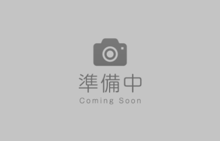 説明用モニター